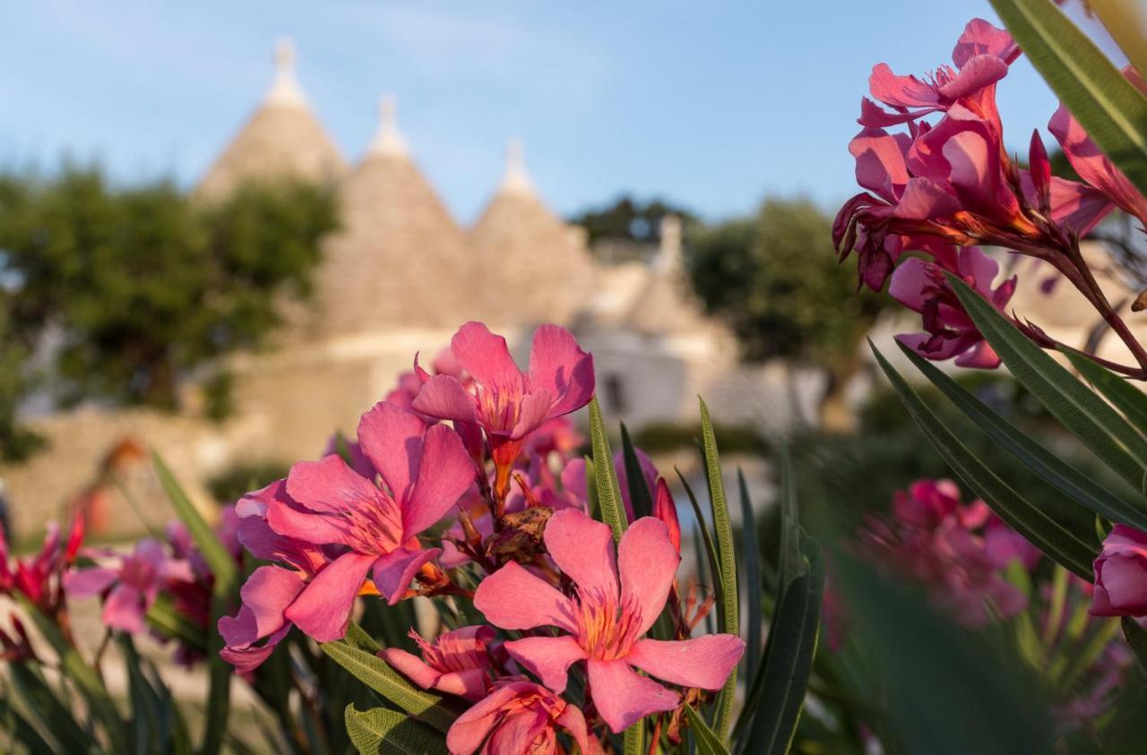 Trulli Angela * Locorotondo